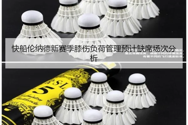 kuai-chuan-lun-na-de-xin-sai-ji-xi-shang-fu-he-guan-li-yu-ji-que-xi-chang-ci-fen-xi-2-144.jpg